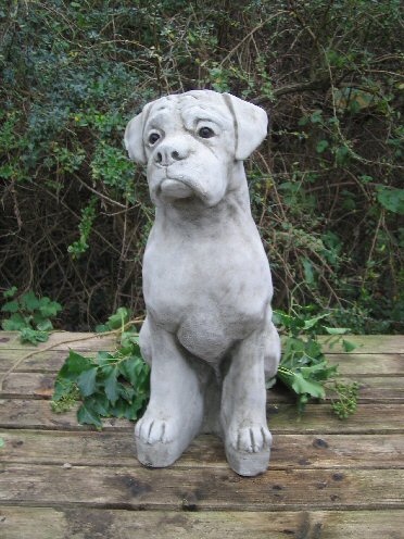 KA55 Large Boxer Dog KA55 Large Boxer Dog
